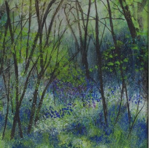 New at The A2 gallery !- Mendip Bluebells --- 30 X 30cm frame - £95 - Mixed Media --- Sold Saturday - 4th July
